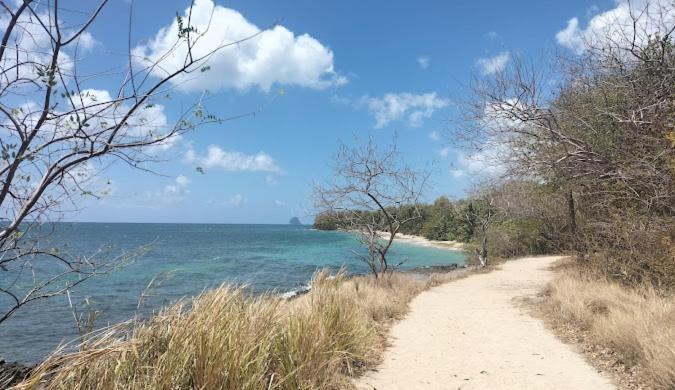 Felix, T2 Acces Plage Gros-Raisins Sainte-Luce Exteriér fotografie
